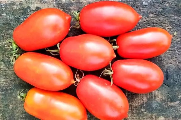 Область применения