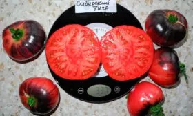 Вкус плодов и их назначение