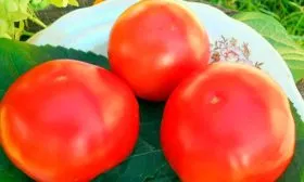 Применение в кулинарии