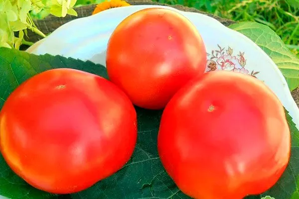 Применение в кулинарии