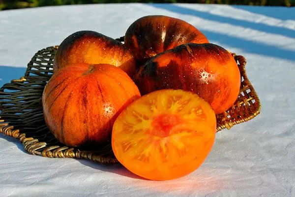 Вкус и сфера использования