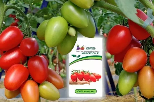 Основные характеристики