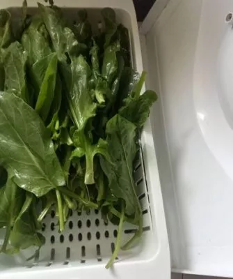 Самый витаминный щавель на зиму