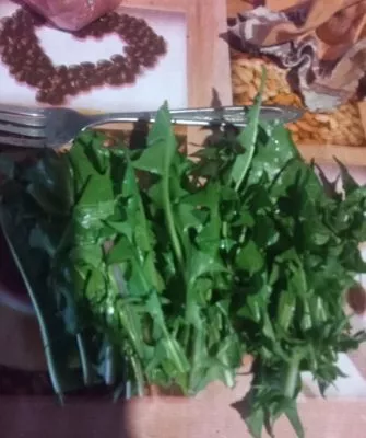 Самый витаминный щавель на зиму