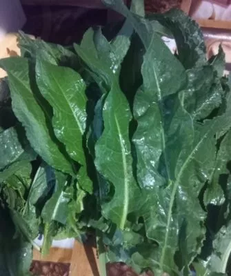 Самый витаминный щавель на зиму