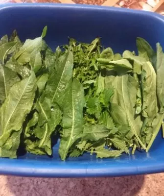 Самый витаминный щавель на зиму