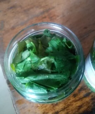 Самый витаминный щавель на зиму