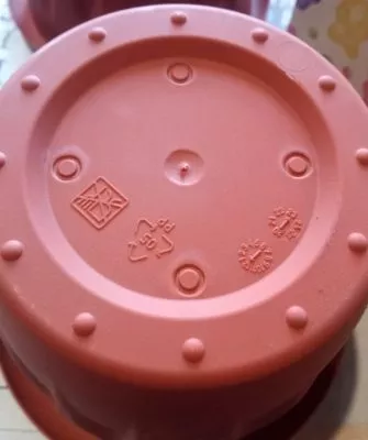 Пересадка маленьких кактусов – как правильно это делать?