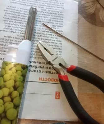 Пересадка маленьких кактусов – как правильно это делать?