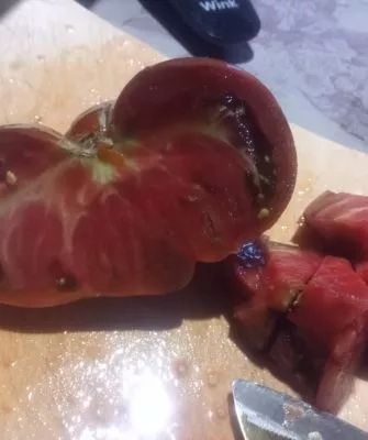 Как называется сорт помидоров?