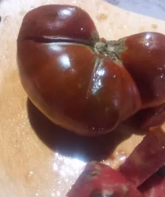 Как называется сорт помидоров?