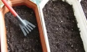 Подготовка тары и субстрата