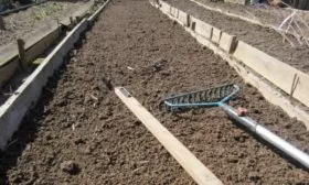 Подготовка почвы под посадку