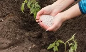 Внесение удобрений