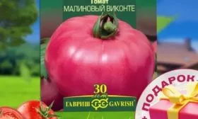 Томат Малиновый виконте