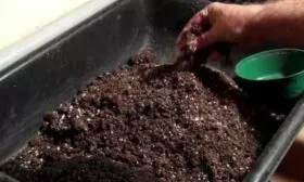 Подготовка тары и почвы