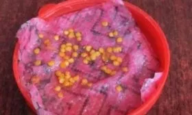 Дезинфекция семян