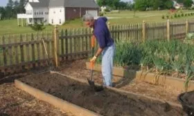 Подготовка участка под посадку томатов