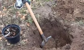 Яма под смородину