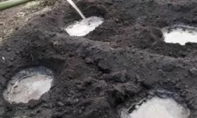 Полив посадочной ямы