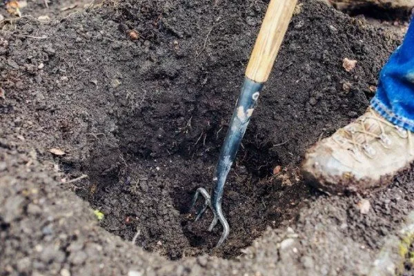 Засыпка ямы