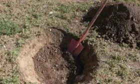 Формировка горки в посадочной яме