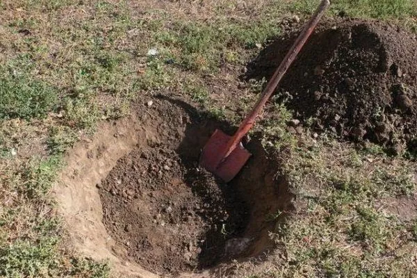 Формировка горки в посадочной яме