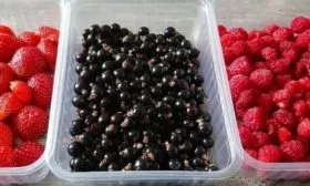 Хранение черной смородиной в холодильнике
