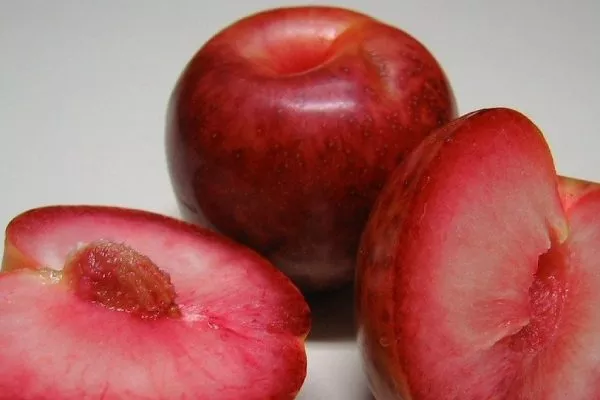 Особенности плодов