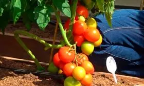 Нюансы формирования