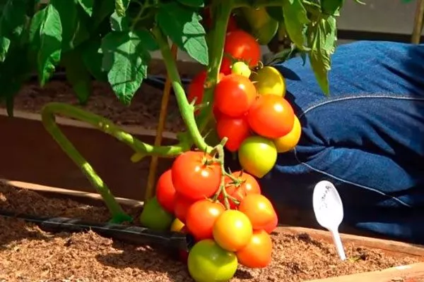 Нюансы формирования