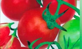 Основные характеристики