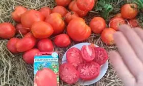 Сбор урожая