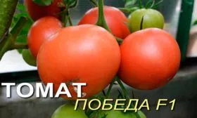 История происхождения