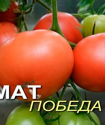 История происхождения