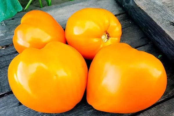 Ночная свеча