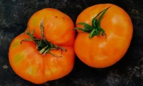 урожайность