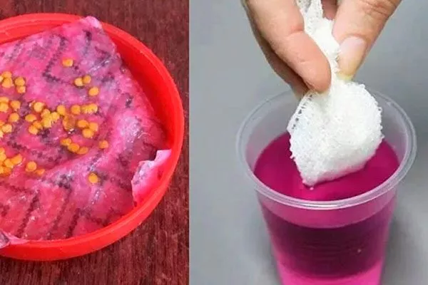 Обработка семян