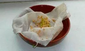 Обработка семян