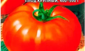 Описание куста и плодов