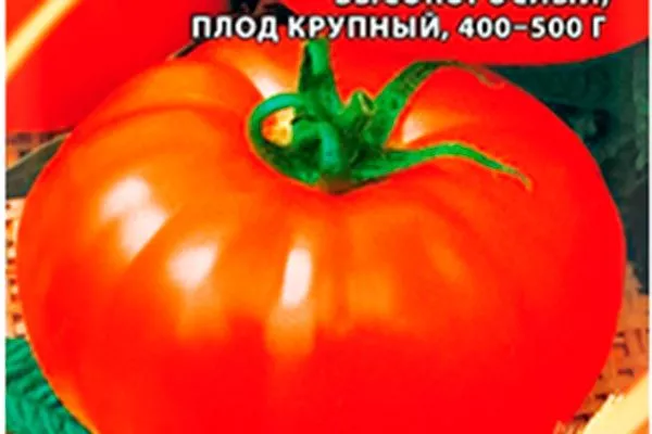 Описание куста и плодов