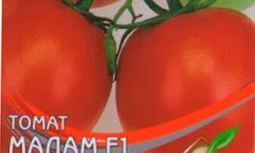 Описание плодов