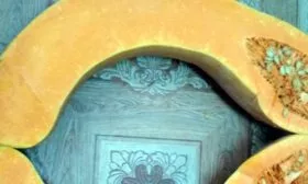 Описание куста и плодов2