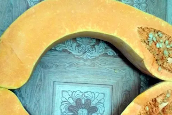 Описание куста и плодов2