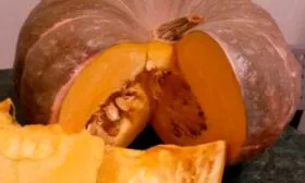 Описание куста и плодов2