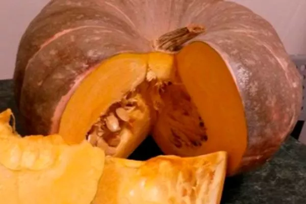 Описание куста и плодов2