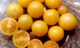 Описание плодов и растения1