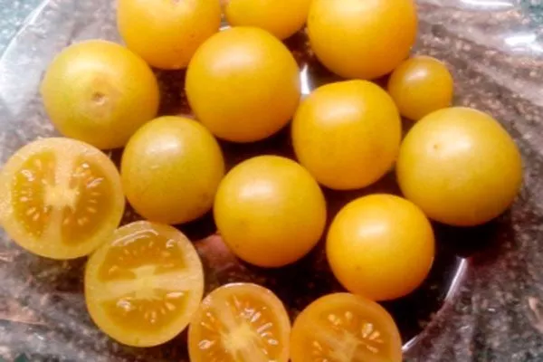 Описание плодов и растения1