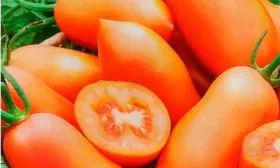 Описание растения и плодов, вкус и назначение