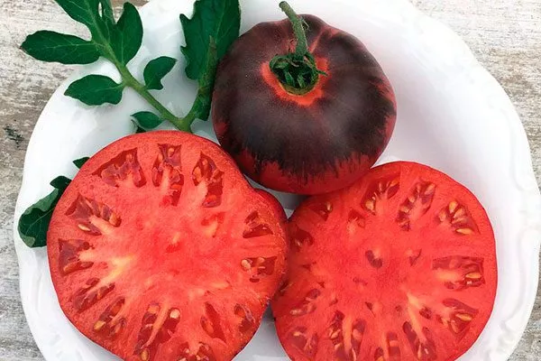 Opisanie-sorta-tomata-Sibirskij-tigr